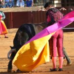 Osuna (Sevilla) - Festejo mixto - Sábado 6 de octubre de 2018