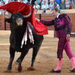 Osuna (Sevilla) - Festejo mixto - Sábado 6 de octubre de 2018