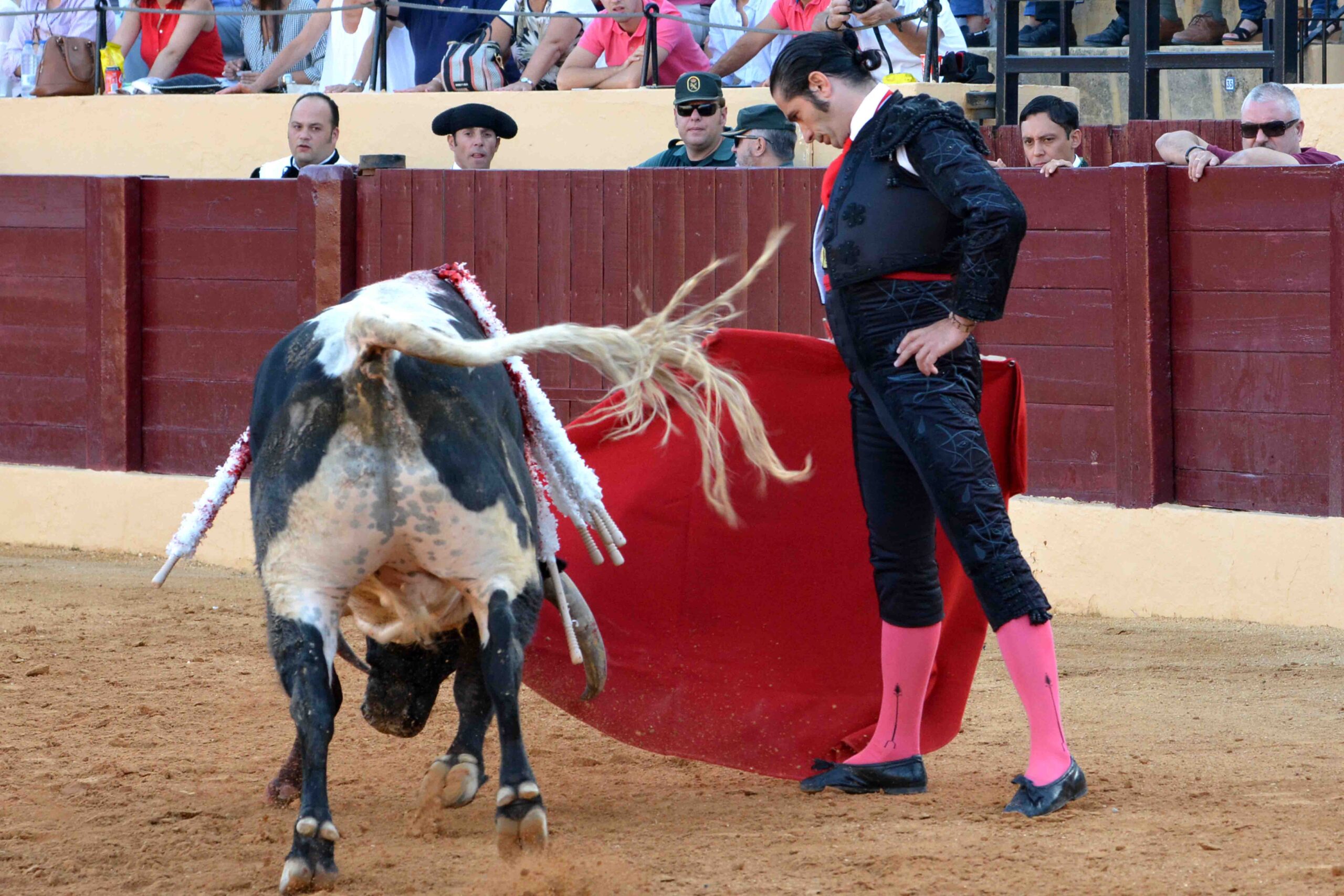 Osuna (Sevilla) - Festejo mixto - Sábado 6 de octubre de 2018