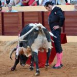 Osuna (Sevilla) - Festejo mixto - Sábado 6 de octubre de 2018