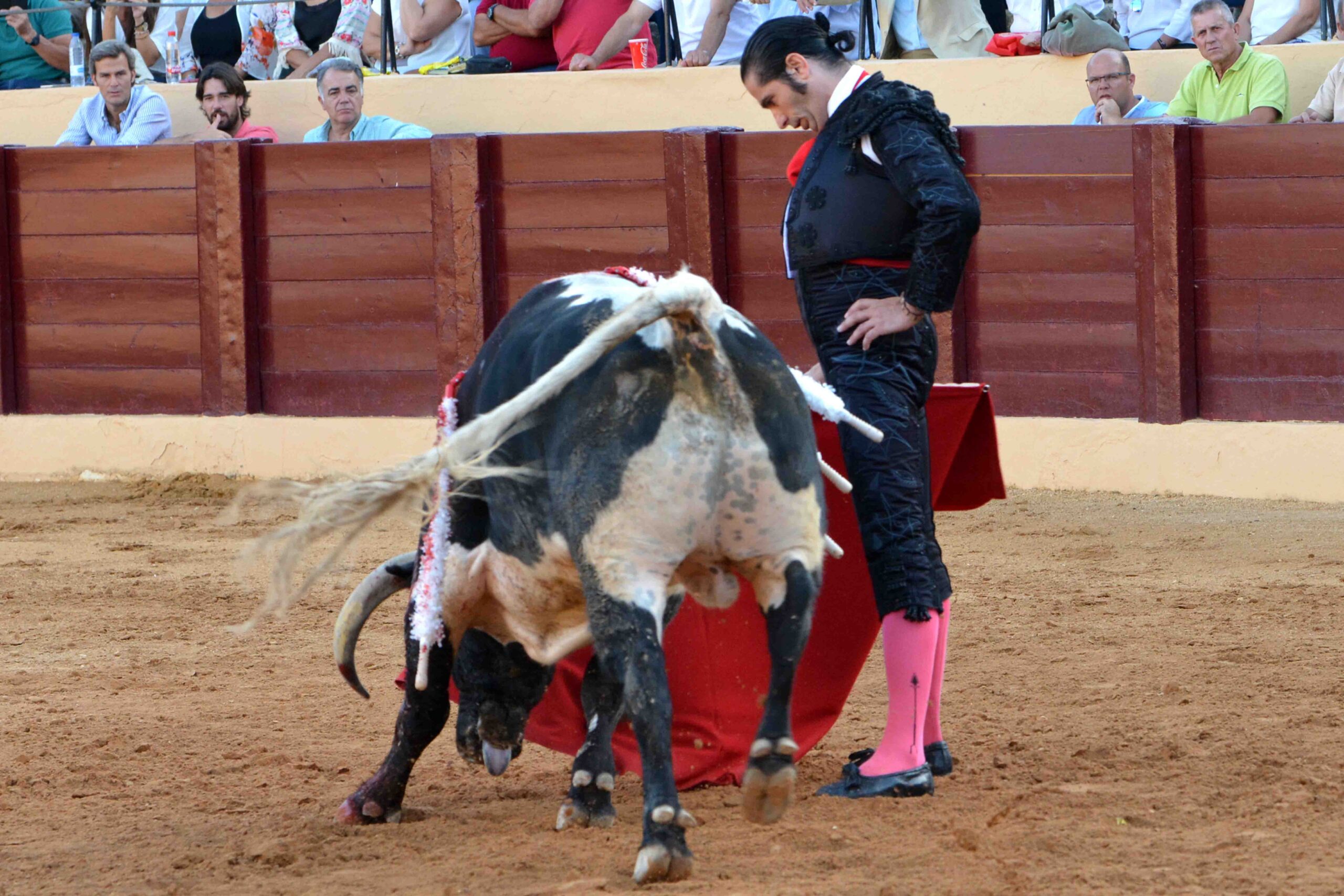 Osuna (Sevilla) - Festejo mixto - Sábado 6 de octubre de 2018