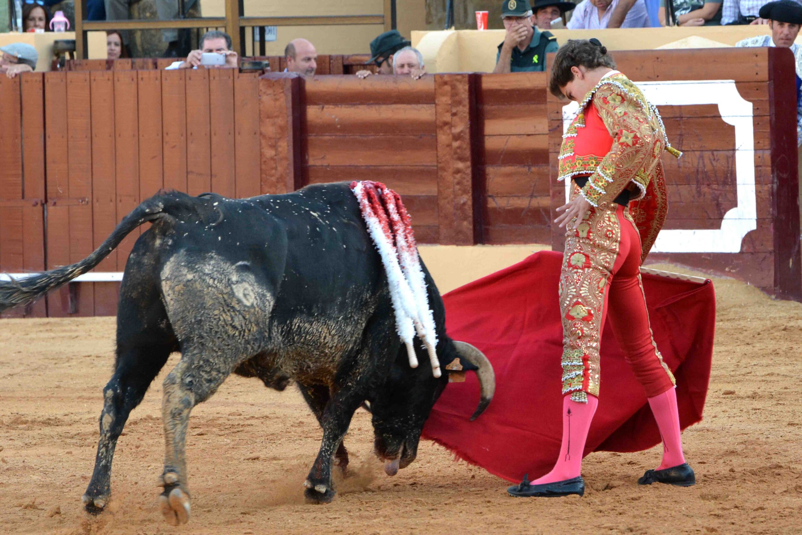 Osuna (Sevilla) - Festejo mixto - Sábado 6 de octubre de 2018