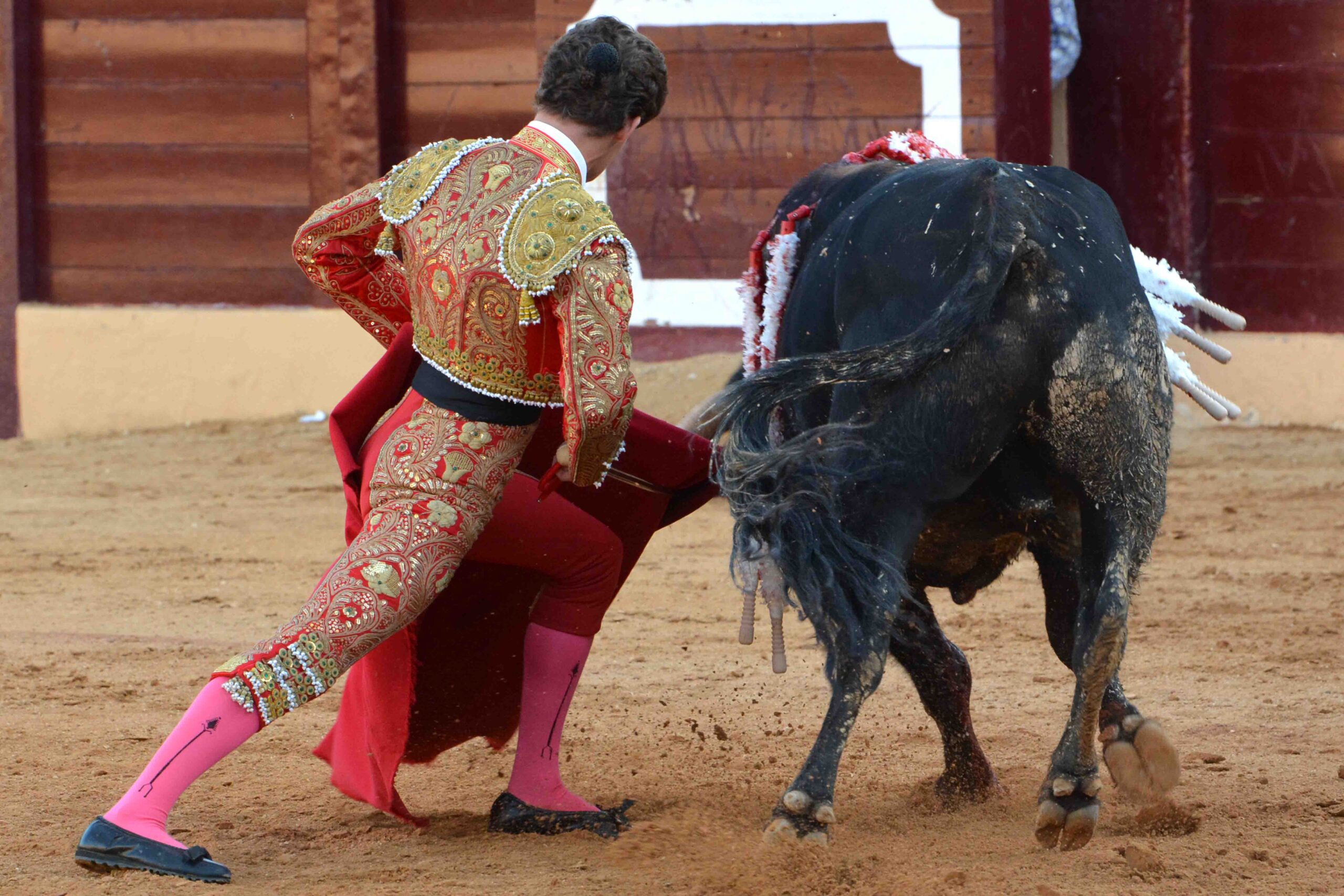 Osuna (Sevilla) - Festejo mixto - Sábado 6 de octubre de 2018