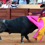 Osuna (Sevilla) - Cogida de Pepe Luis - Sábado 6 de octubre de 2018