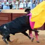 Osuna (Sevilla) - Cogida de Pepe Luis - Sábado 6 de octubre de 2018