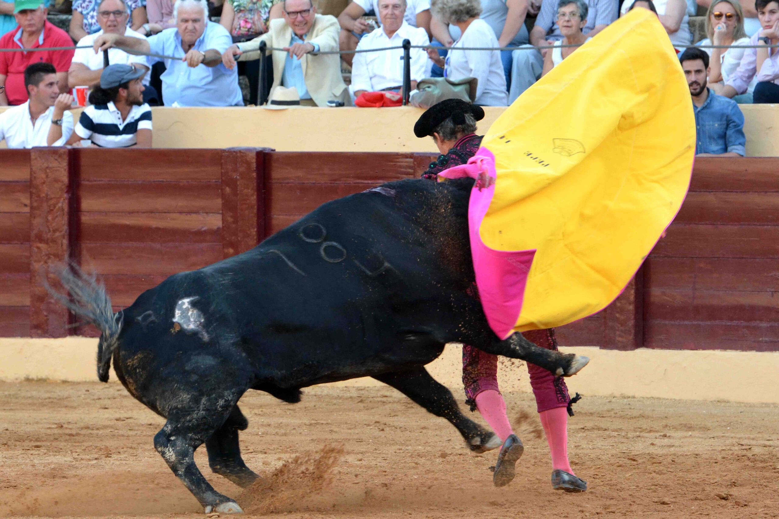 Osuna (Sevilla) - Cogida de Pepe Luis - Sábado 6 de octubre de 2018