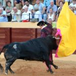 Osuna (Sevilla) - Cogida de Pepe Luis - Sábado 6 de octubre de 2018