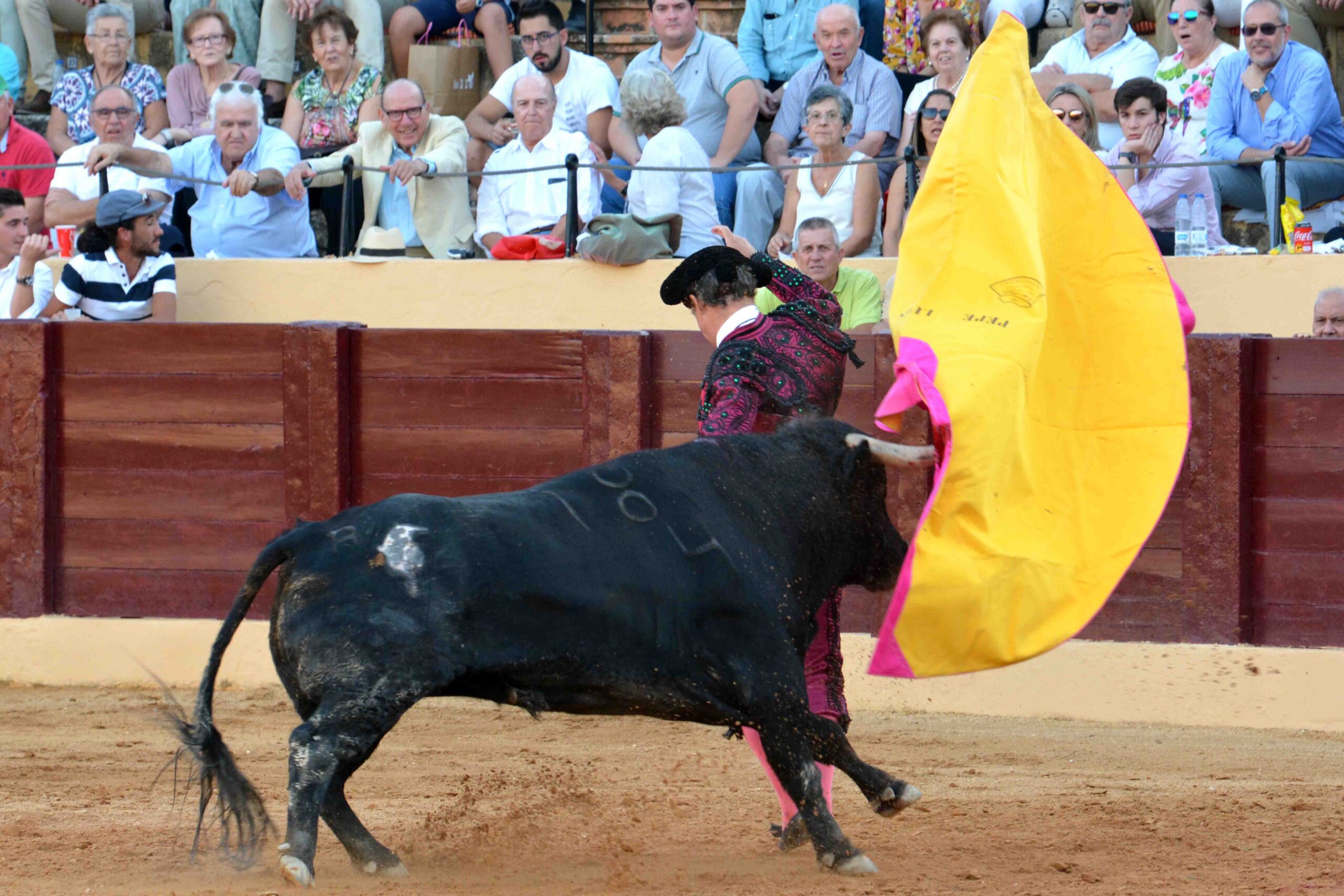 Osuna (Sevilla) - Cogida de Pepe Luis - Sábado 6 de octubre de 2018