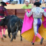 Osuna (Sevilla) - Cogida de Pepe Luis - Sábado 6 de octubre de 2018