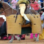 Osuna (Sevilla) - Cogida de Pepe Luis - Sábado 6 de octubre de 2018