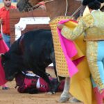 Osuna (Sevilla) - Cogida de Pepe Luis - Sábado 6 de octubre de 2018