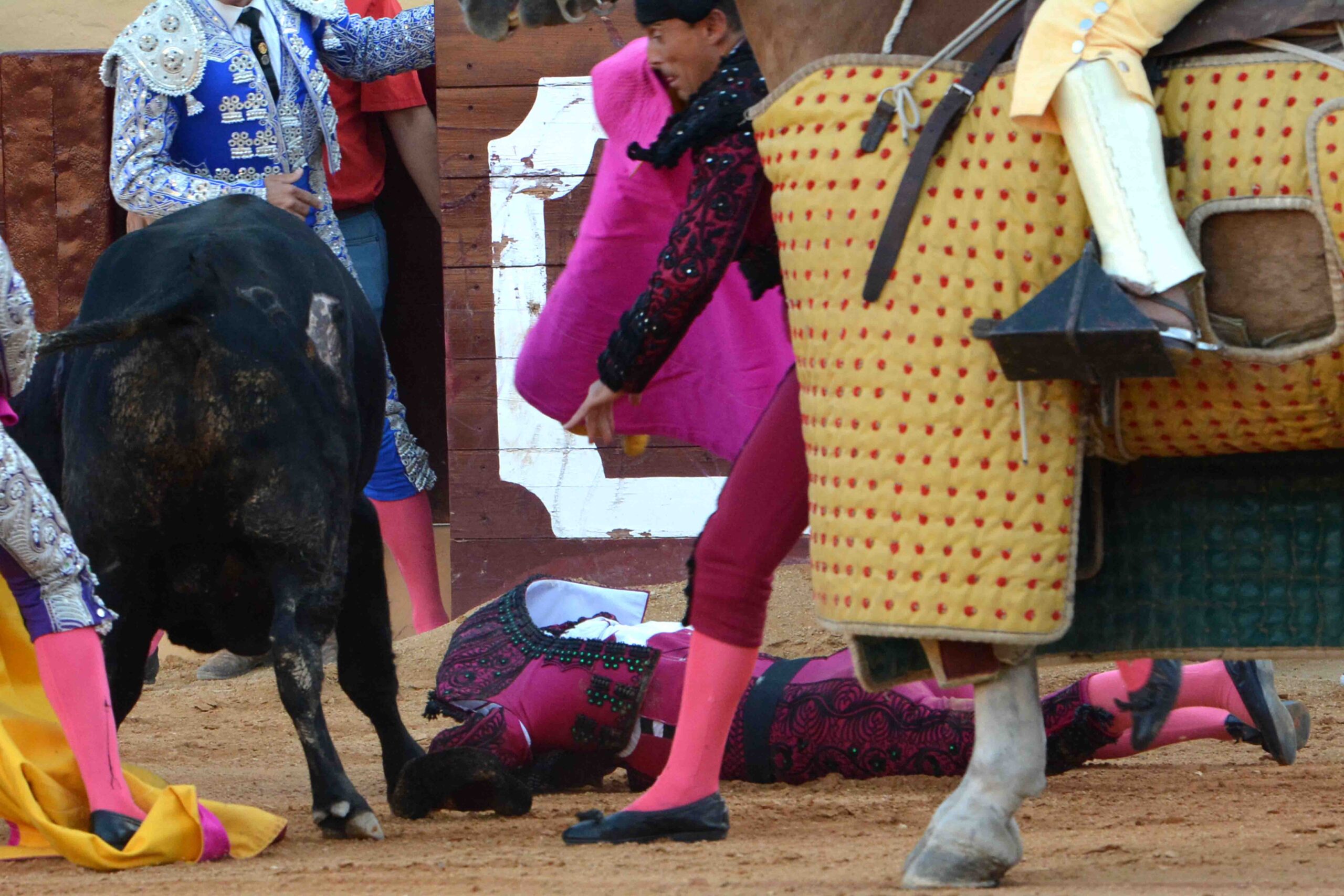 Osuna (Sevilla) - Cogida de Pepe Luis - Sábado 6 de octubre de 2018