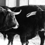 Zaragoza - Feria del Pilar - Sorteo - Sábado 6 de octubre de 2018