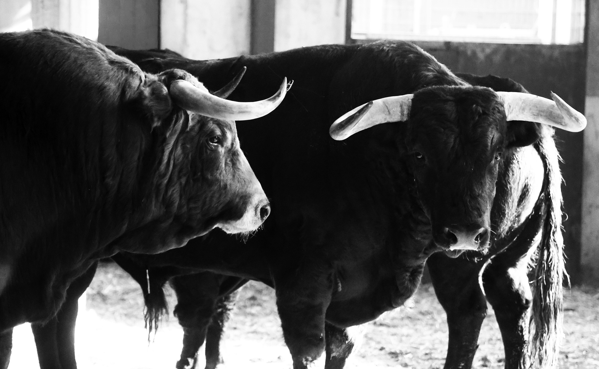 Zaragoza - Feria del Pilar - Sorteo - Sábado 6 de octubre de 2018