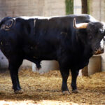 Zaragoza - Feria del Pilar - Sorteo - Sábado 6 de octubre de 2018