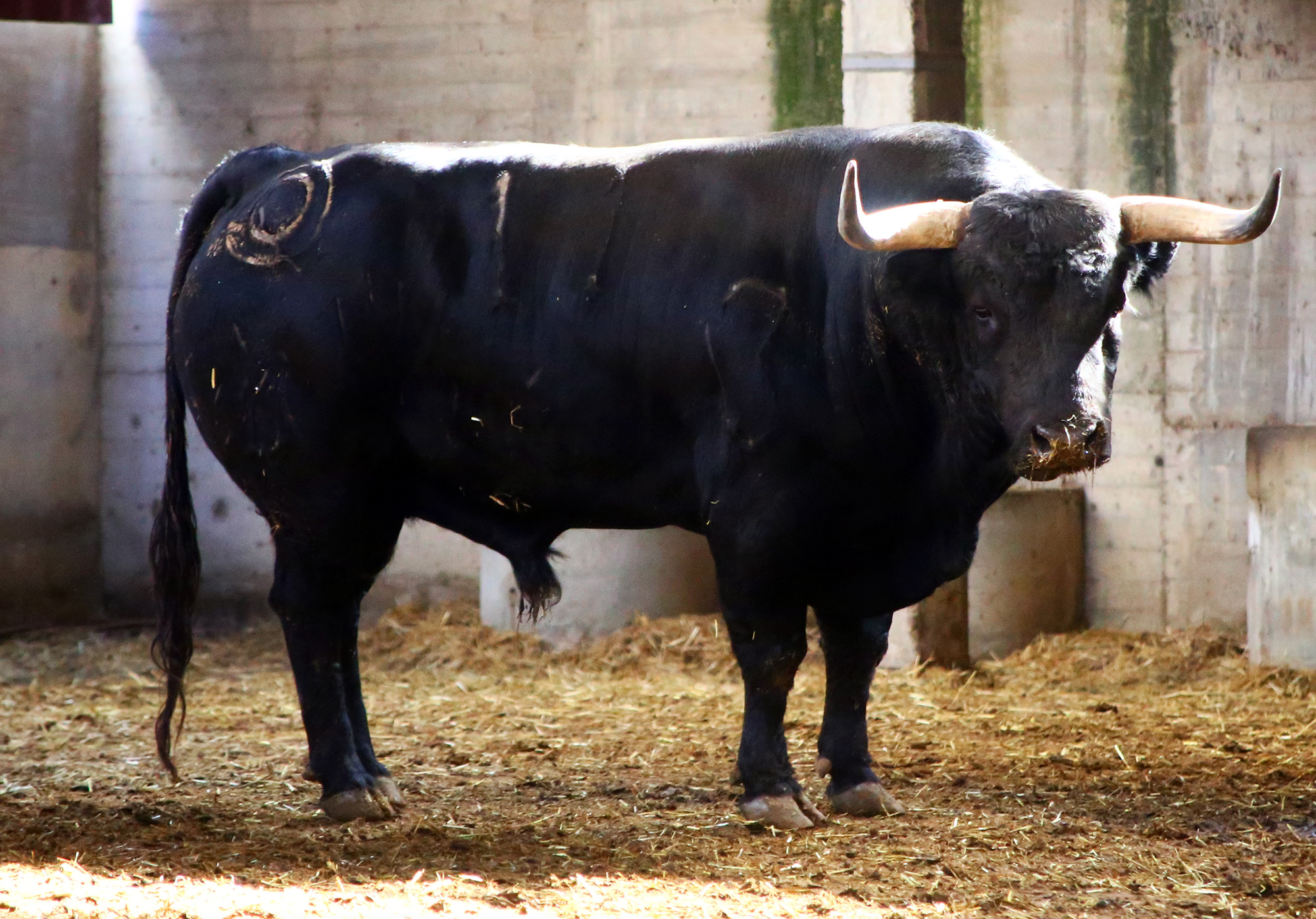 Zaragoza - Feria del Pilar - Sorteo - Sábado 6 de octubre de 2018