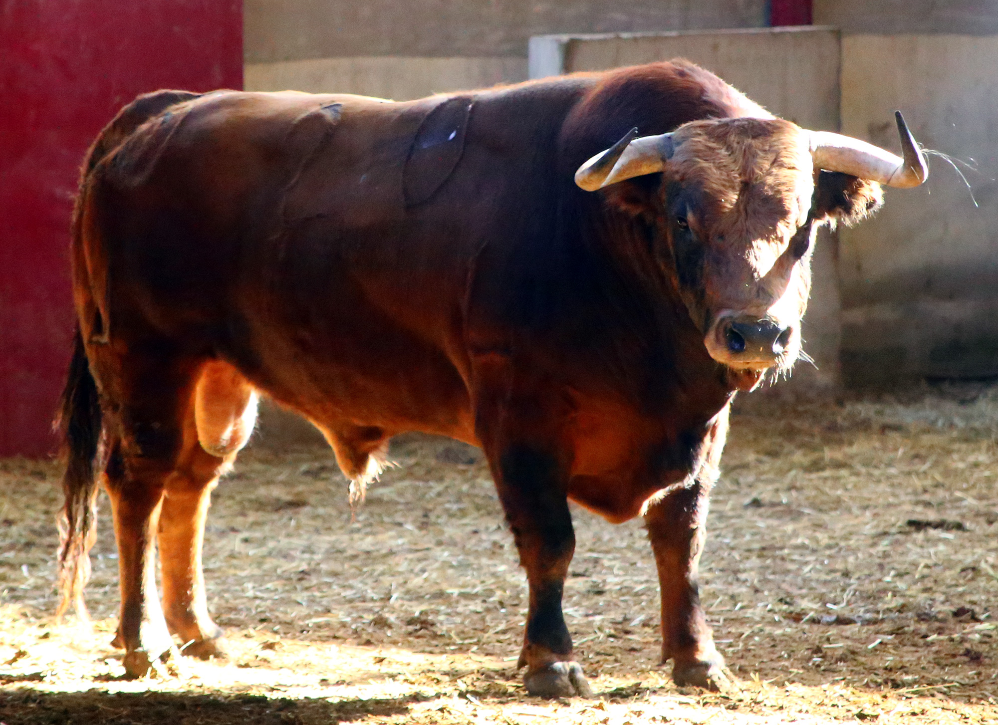 Zaragoza - Feria del Pilar - Sorteo - Sábado 6 de octubre de 2018