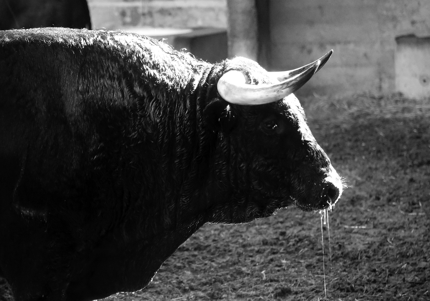 Sorteo. Zaragoza, 12 de octubre de 2018