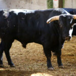 Zaragoza - Feria del Pilar - Sorteo - Sábado 6 de octubre de 2018