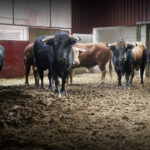 Sorteo. Zaragoza, 14 de octubre de 2018