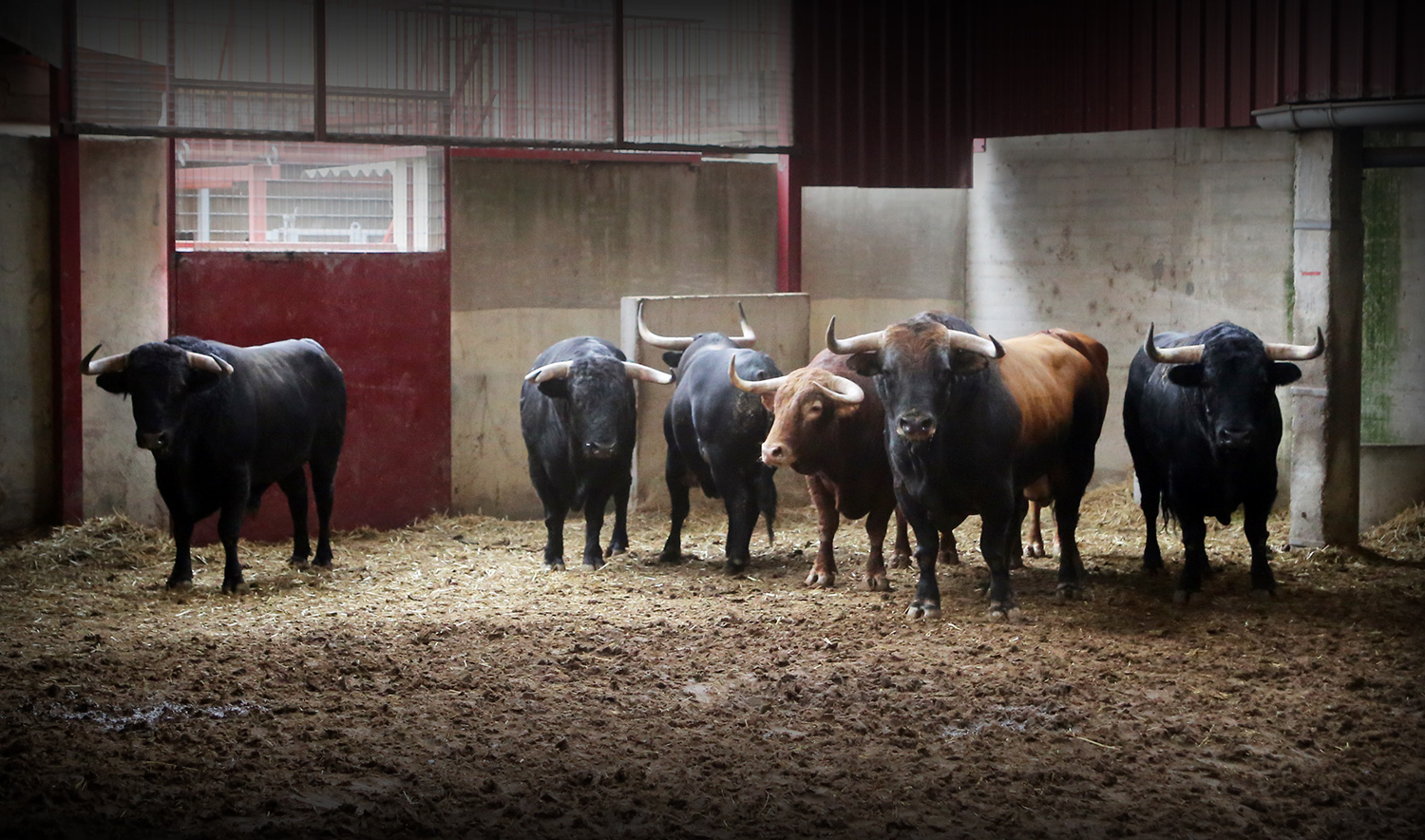 Sorteo. Zaragoza, 14 de octubre de 2018