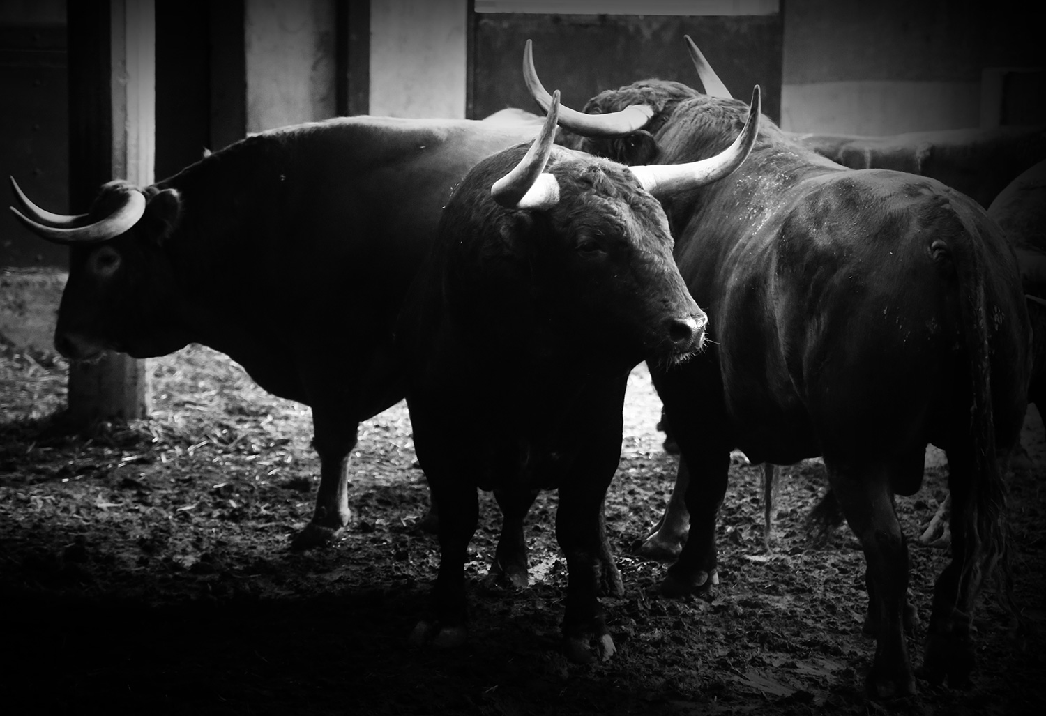 Sorteo. Zaragoza, 14 de octubre de 2018