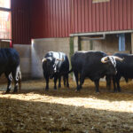 Zaragoza - Feria del Pilar - Sorteo - Sábado 6 de octubre de 2018