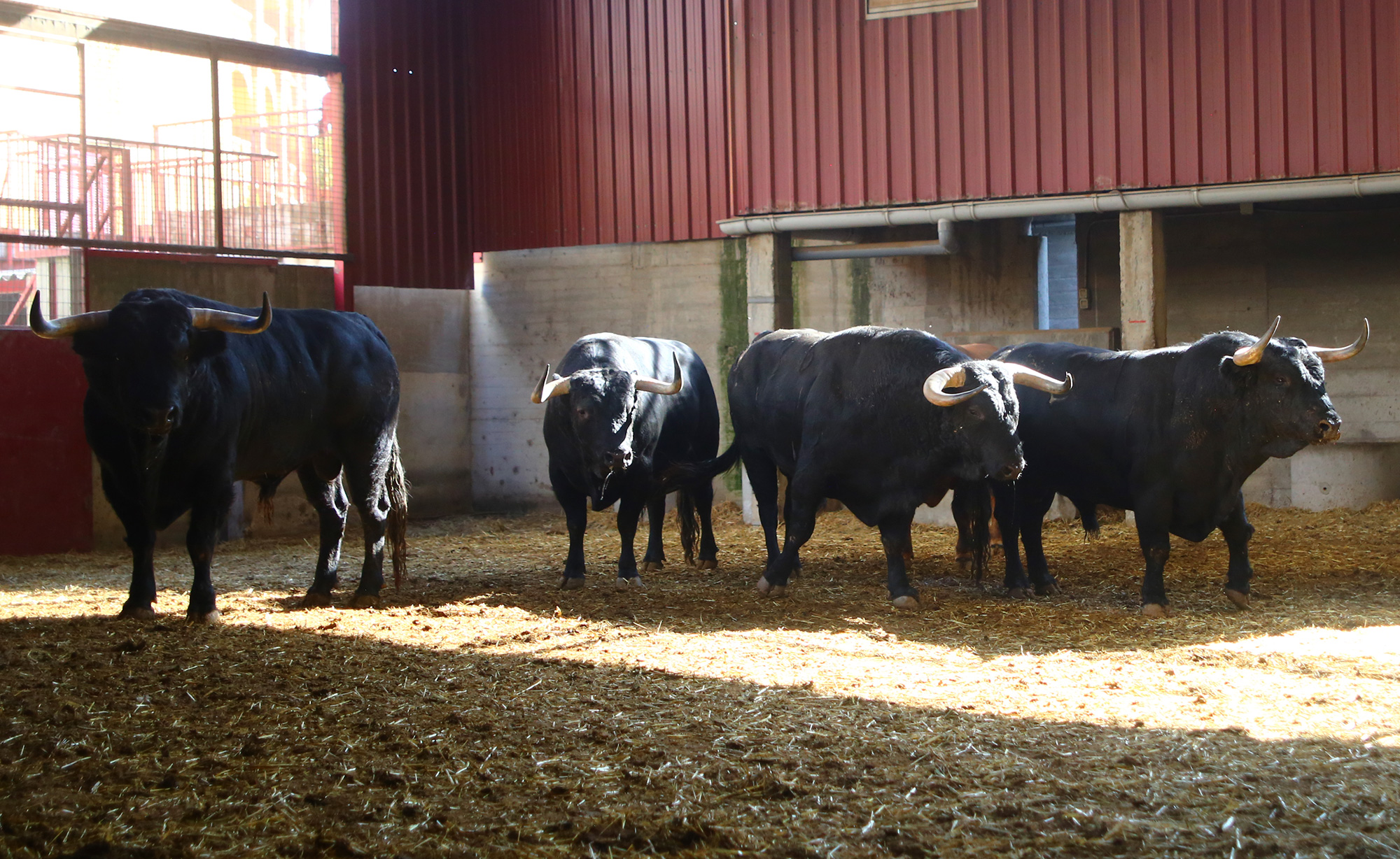 Zaragoza - Feria del Pilar - Sorteo - Sábado 6 de octubre de 2018