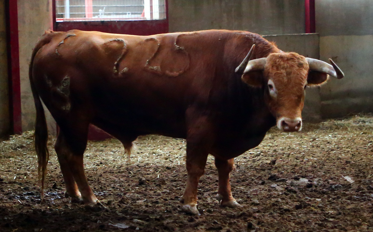 Sorteo. Zaragoza, 14 de octubre de 2018