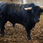 Sorteo. Zaragoza, 14 de octubre de 2018