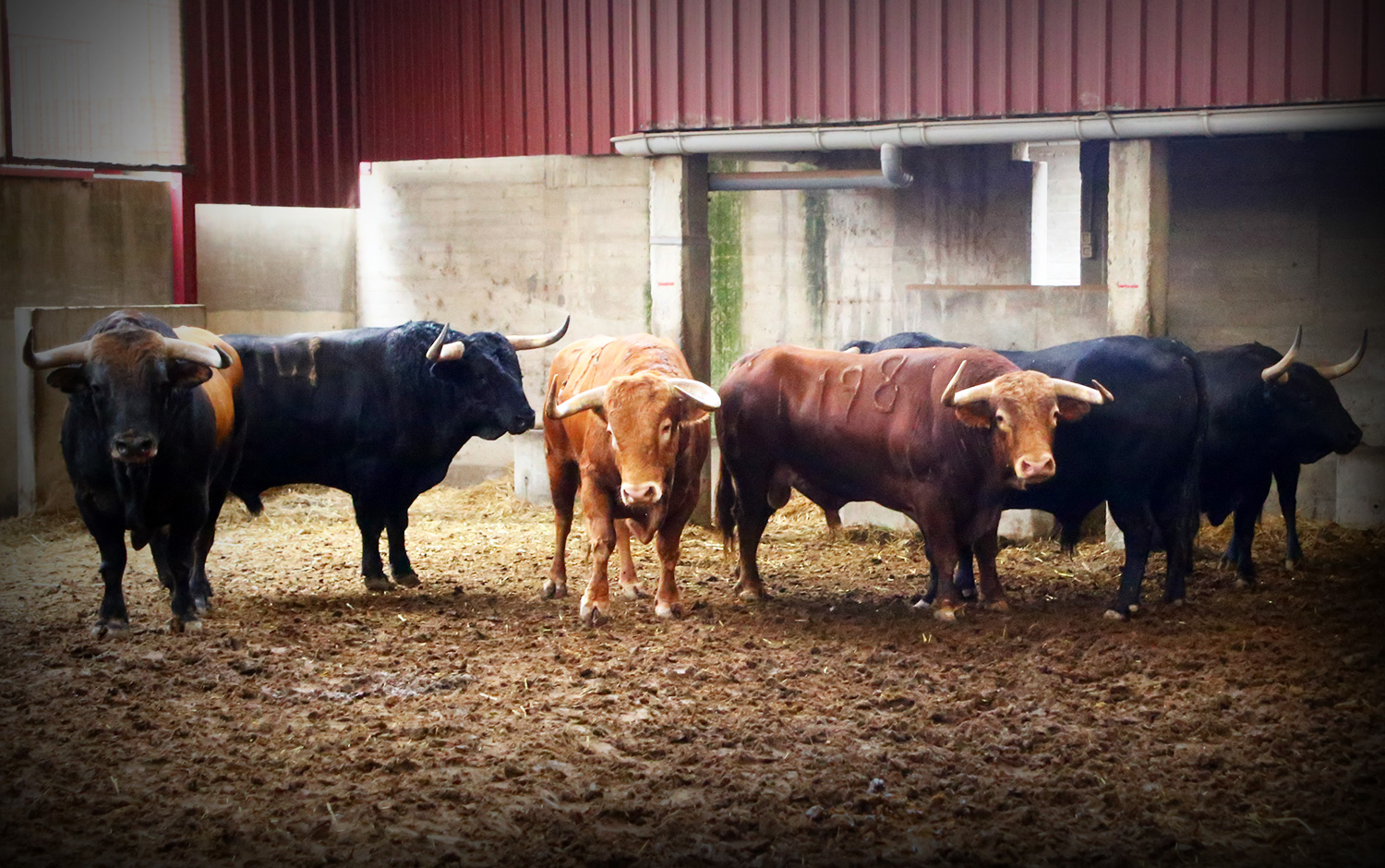 Sorteo. Zaragoza, 14 de octubre de 2018