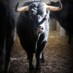 Sorteo. Zaragoza, 12 de octubre de 2018