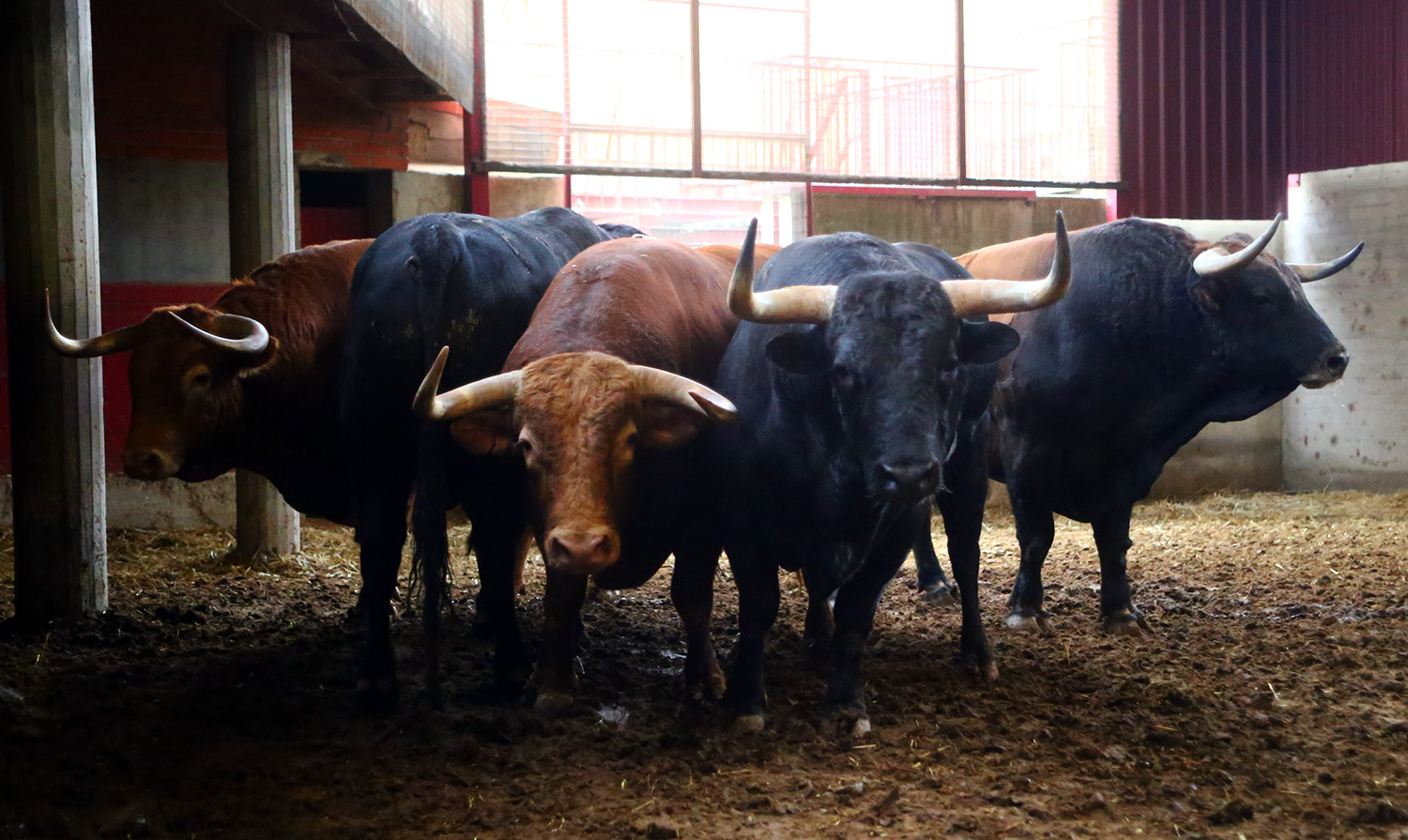 Sorteo. Zaragoza, 14 de octubre de 2018