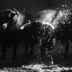 Sorteo. Zaragoza, 12 de octubre de 2018