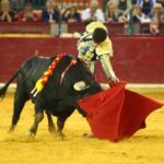 Zaragoza, martes 9 de octubre de 2018. Novillos de El Parralejo y Carriquiri para Pablo Mora, Francisco de Manuel y Manuel Diosleguarde