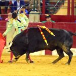 Zaragoza, martes 9 de octubre de 2018. Novillos de El Parralejo y Carriquiri para Pablo Mora, Francisco de Manuel y Manuel Diosleguarde