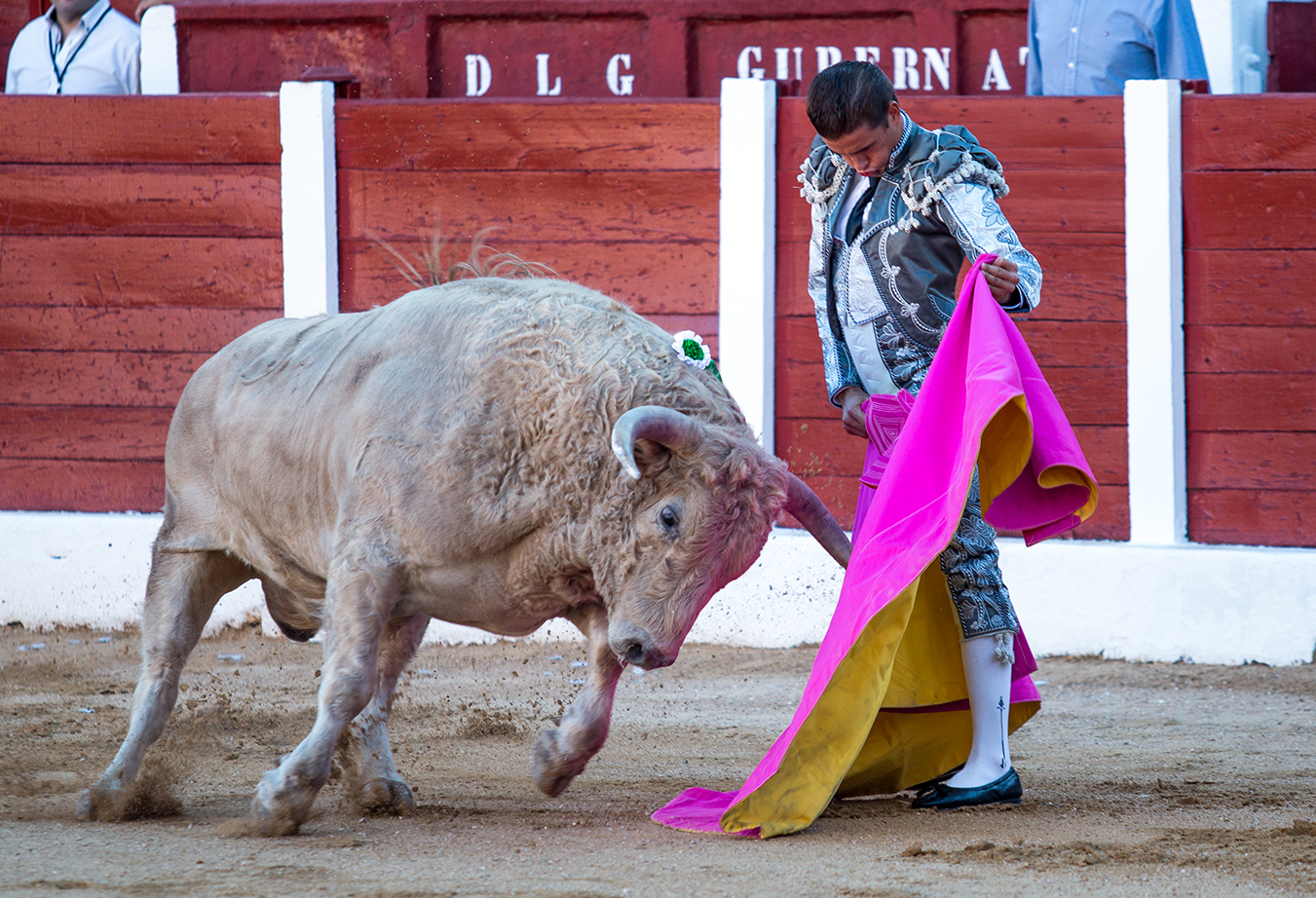 Hellín (Albacete) - Corrida de toros - Domingo 7 de octubre de 2018