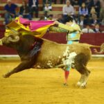 Zaragoza, martes 9 de octubre de 2018. Novillos de El Parralejo y Carriquiri para Pablo Mora, Francisco de Manuel y Manuel Diosleguarde