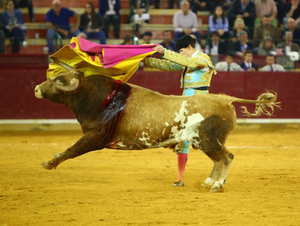 Zaragoza, martes 9 de octubre de 2018. Novillos de El Parralejo y Carriquiri para Pablo Mora, Francisco de Manuel y Manuel Diosleguarde
