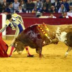 Zaragoza, martes 9 de octubre de 2018. Novillos de El Parralejo y Carriquiri para Pablo Mora, Francisco de Manuel y Manuel Diosleguarde