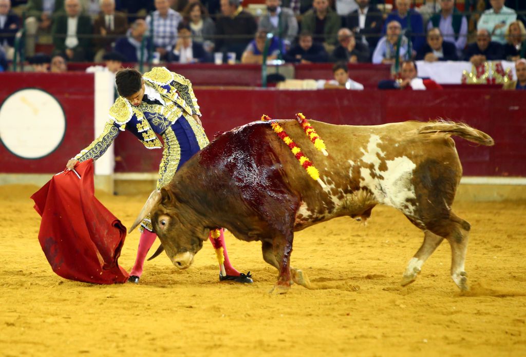 Zaragoza, martes 9 de octubre de 2018. Novillos de El Parralejo y Carriquiri para Pablo Mora, Francisco de Manuel y Manuel Diosleguarde