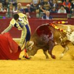 Zaragoza, martes 9 de octubre de 2018. Novillos de El Parralejo y Carriquiri para Pablo Mora, Francisco de Manuel y Manuel Diosleguarde