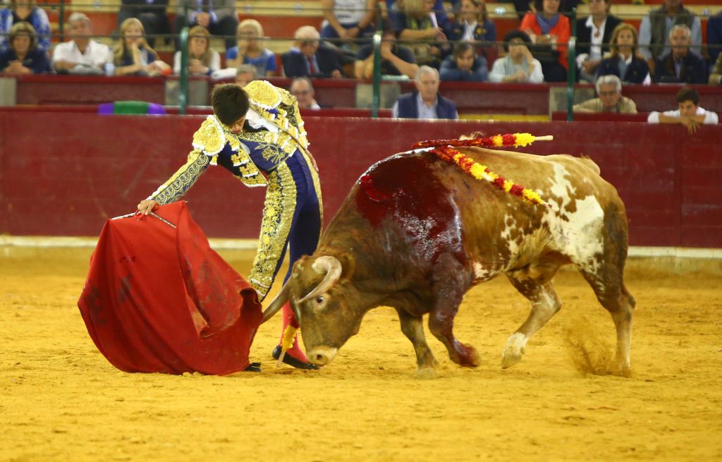 Zaragoza, martes 9 de octubre de 2018. Novillos de El Parralejo y Carriquiri para Pablo Mora, Francisco de Manuel y Manuel Diosleguarde