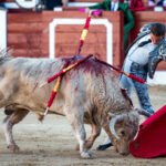 Hellín (Albacete) - Corrida de toros - Domingo 7 de octubre de 2018