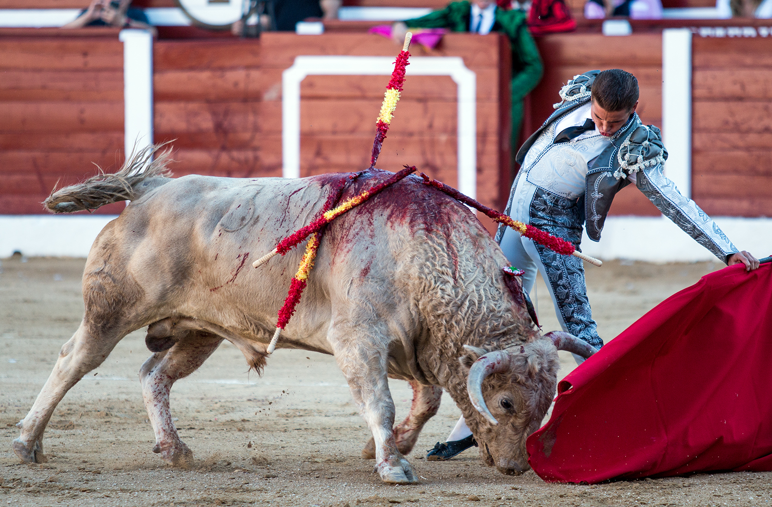 Hellín (Albacete) - Corrida de toros - Domingo 7 de octubre de 2018