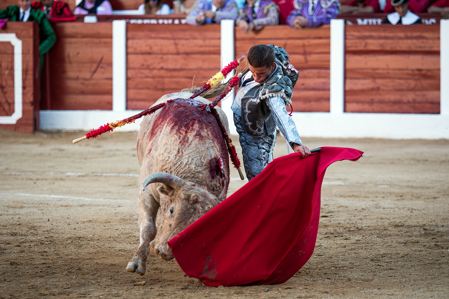 Hellín (Albacete) - Corrida de toros - Domingo 7 de octubre de 2018