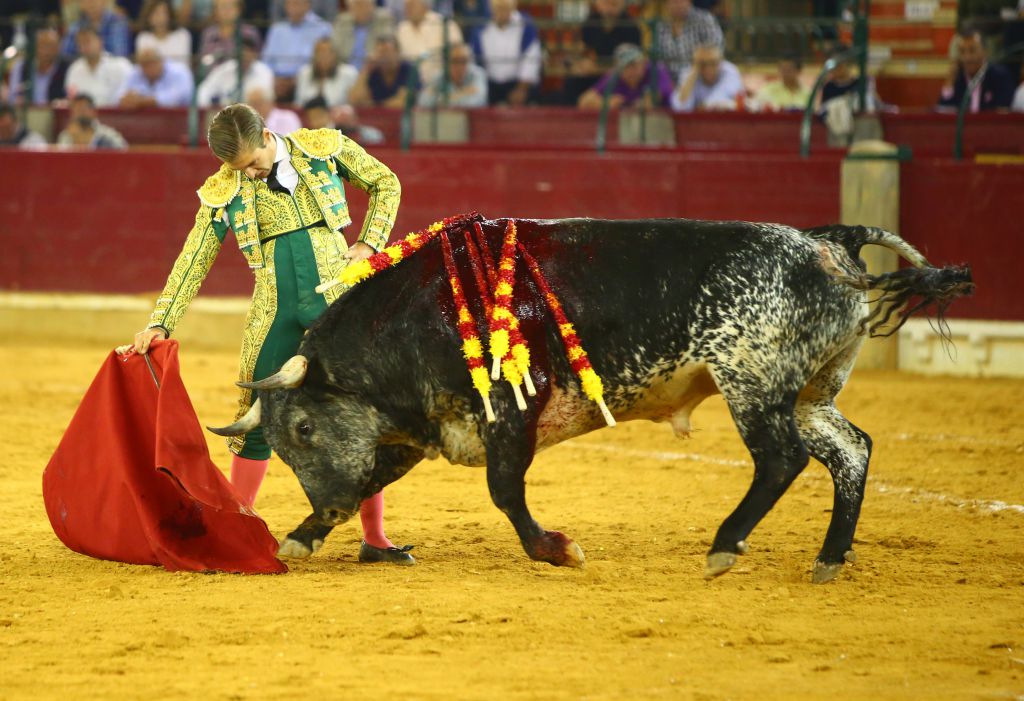 Zaragoza - Feria del Pilas - Cogida de Alejandro Mora - Viernes 5 de octubre de 2018