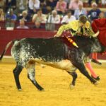 Zaragoza - Feria del Pilas - Cogida de Alejandro Mora - Viernes 5 de octubre de 2018