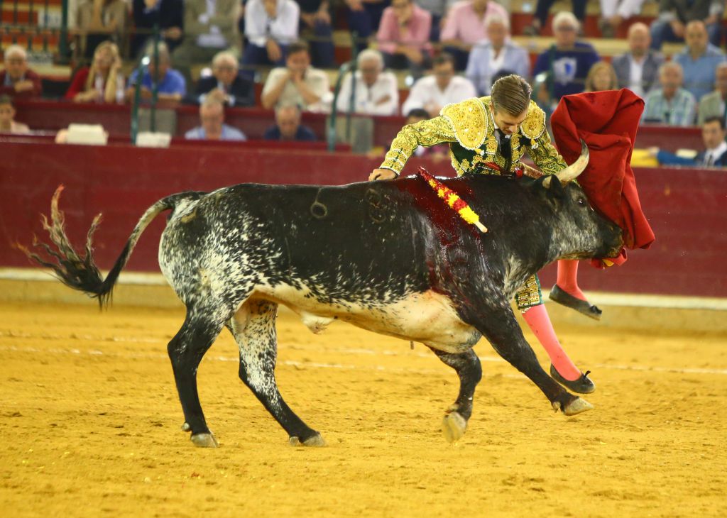 Zaragoza - Feria del Pilas - Cogida de Alejandro Mora - Viernes 5 de octubre de 2018