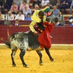 Zaragoza - Feria del Pilas - Cogida de Alejandro Mora - Viernes 5 de octubre de 2018